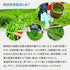 限量特蒸上等焙茶茶葉 60g